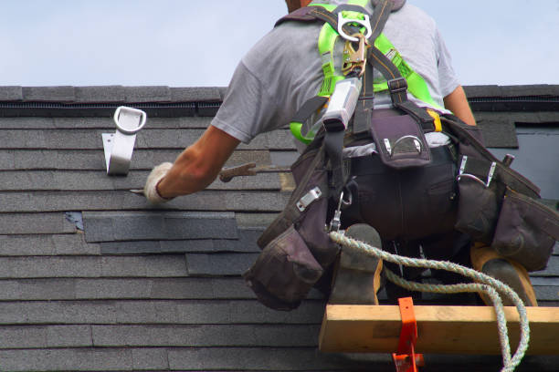 Best Storm Damage Roof Repair  in Walden, TN